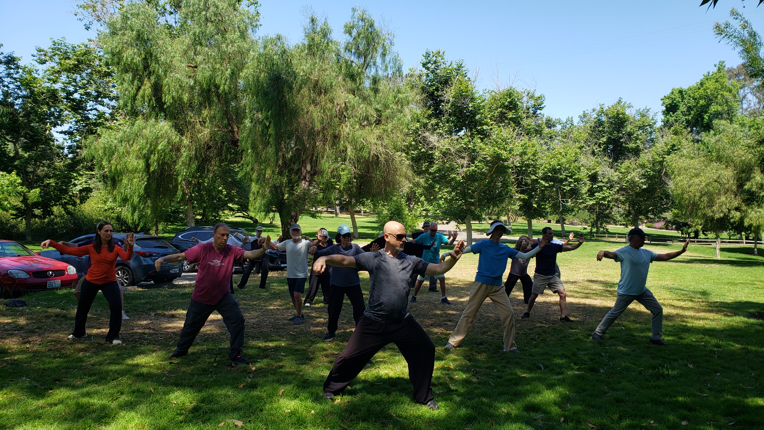 Tai Chi for Health
